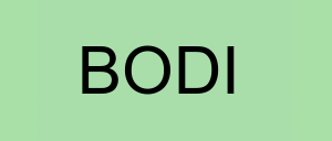 Stock bodi logo