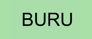 Stock buru logo
