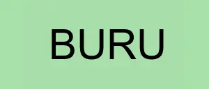 Stock buru logo
