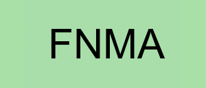 Stock fnma logo