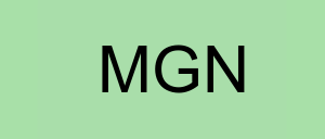 Stock mgn logo