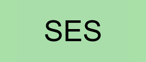 Stock ses logo